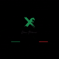 Fieracavalli Horsefriendly GIF by veronafiere