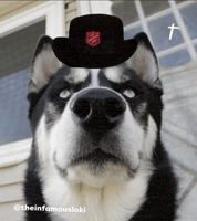 Salvation Army GIF by Loki