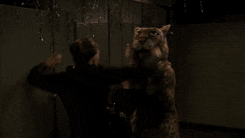 lamorne morris fox GIF by New Girl