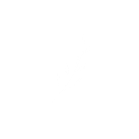 Lies Branch Sticker