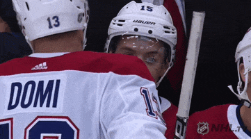 Ice Hockey Hug GIF by NHL