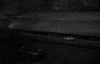 tod browning dracula GIF by Maudit