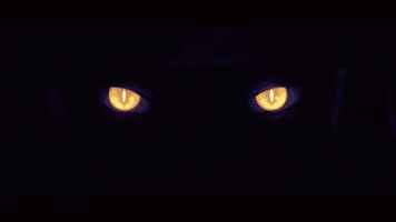 GIF by League of Legends
