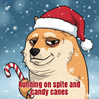 Candy Cane Christmas GIF by Doge Pound