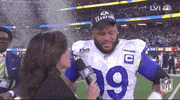 Super Bowl Football GIF by NFL