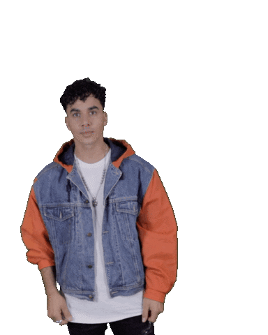 jordystuif giphyupload timor steffens timor world Sticker