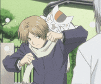 Cat Takashi GIF