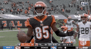 Regular Season Football GIF by NFL