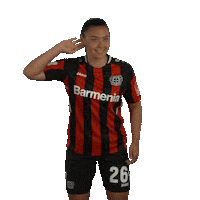 Werkself What Sticker by Bayer 04 Leverkusen