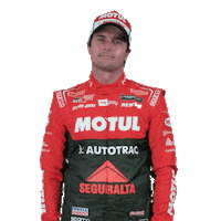 Nelson Piquet Jr Stockcar Sticker by Stock Car Brasil