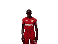 Bayer 04 Hello Sticker by Bayer 04 Leverkusen