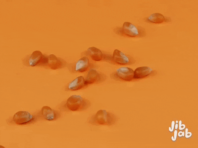 Whats Popping Popcorn GIF by Hello Media