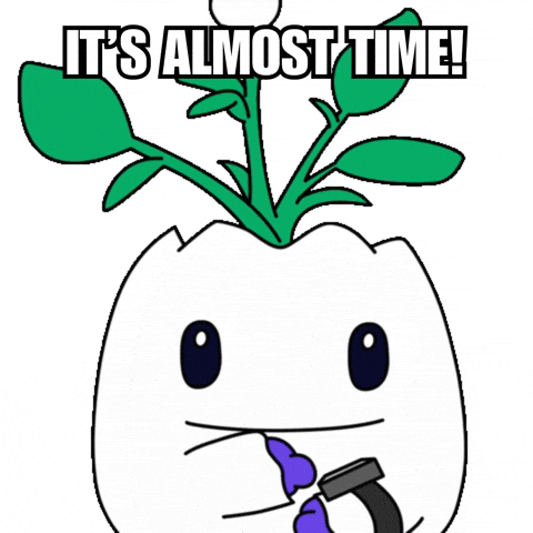 Hurry Up Waiting GIF by Magic Eden