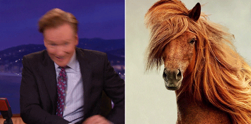 horse conan obrien GIF by Team Coco