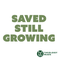 Christian Growing GIF by Theology Made