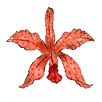 Flower Sticker