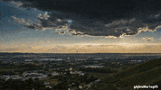 frases GIF