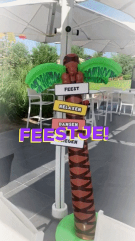 AvivaSolutions party summer feest feestje GIF
