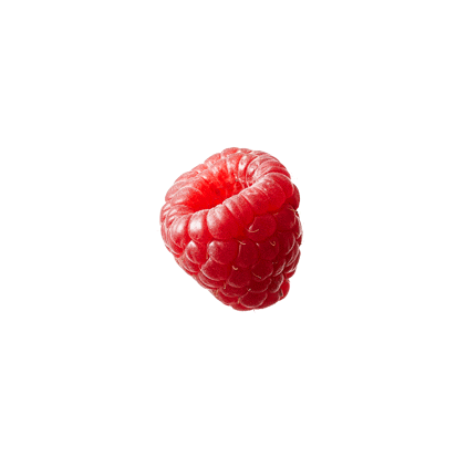 Raspberry Sticker by Tru Fru