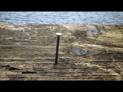 Simongip giphygifmaker GIF