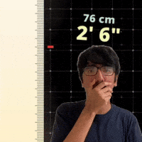 2' 6"