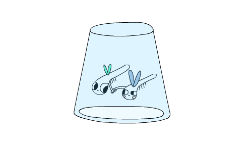 drangonfly GIF by CsaK