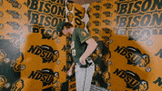 Baseball Bison GIF by NDSU Athletics