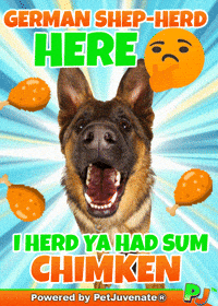 PetJuvenate petjuvenate henlo hooman fren love rescue dogs treatos and woofer for pupper GIF