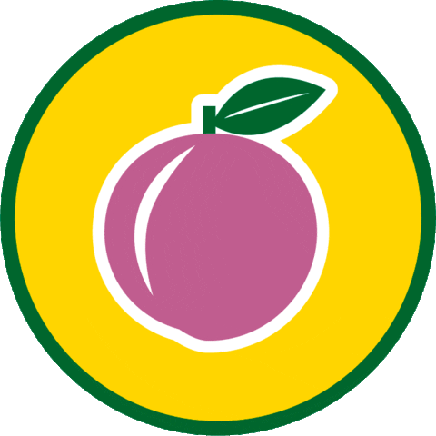 Samuraideensaladas Lamovidadelvegano Sticker by ABRE