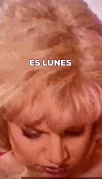 lauratermini meme no comedy memes GIF