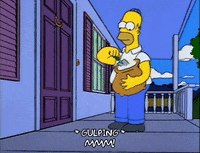 homer simpson GIF