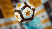 Loyola Chicago GIF by LoyolaRamblers