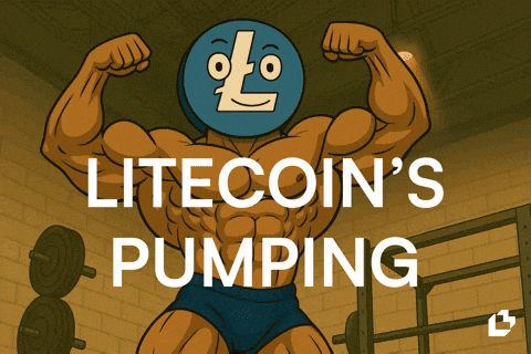 Send It Pumped Up GIF by LitVM