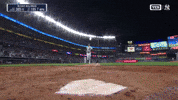 Home Run Sport GIF by MLB