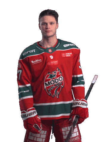 Hockeyallsvenskan Sticker by MoDo Hockey