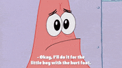 season 9 sanctuary GIF by SpongeBob SquarePants