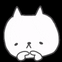 Shili920 cat ねこ にゃん しい GIF