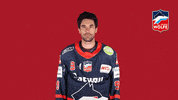 Hockey Whatever GIF by Selber Wölfe