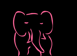henriquekanashiro elefant kanashiros2 henrique k GIF