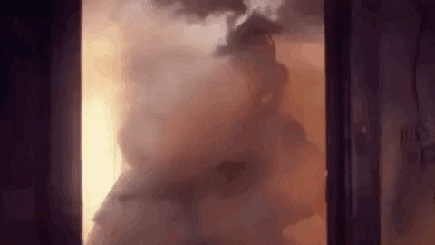 joshuadance giphyupload rescue this is fine dog rescue this is fine dog GIF