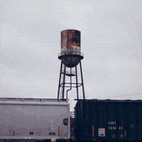 new orleans animation GIF by Liaizon Wakest