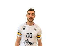 Prvball no no no no henry prvb Sticker