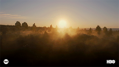season 2 sunset GIF by Westworld HBO