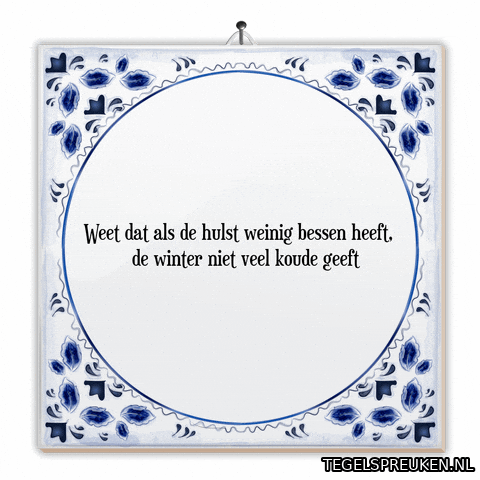 Winter Hoop GIF by Tegelspreuken.nl