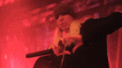 Dance Rave GIF by 2hollis