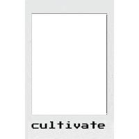 Photo Polaroid Sticker by Cultivate Asia Pacific