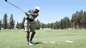 GIF by Wilson Golf