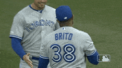toronto blue jays 2019 baseball GIF by MLB