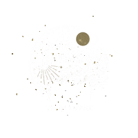 Dln Lnl Sticker by LesNuitsLumineuses