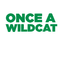 WillistonNorthamptonSchool wildcats founders day williston once a wildcat Sticker